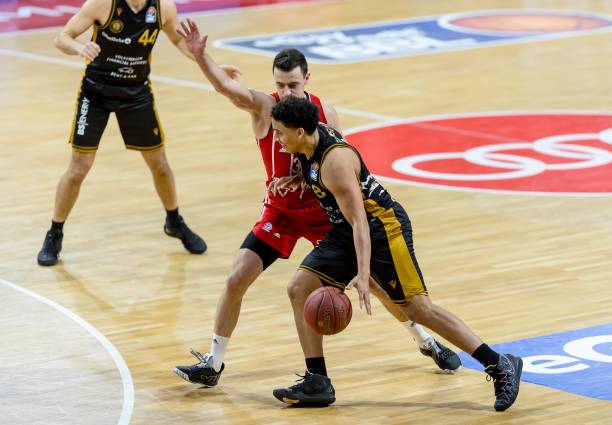 他们在本届 他们在本届